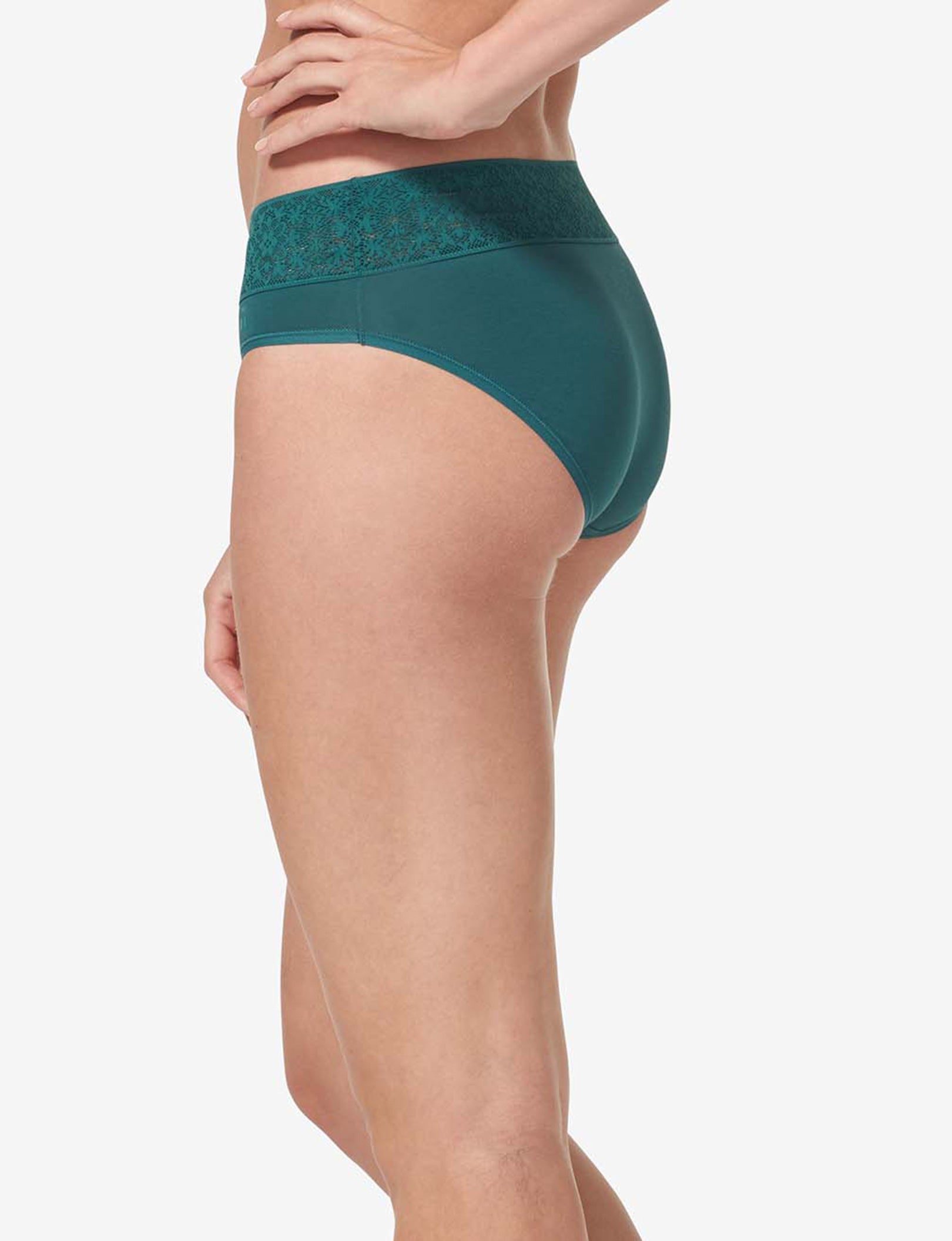 Women's Cool Cotton Brief, Lace Waist::Mediterranea Lace Waist