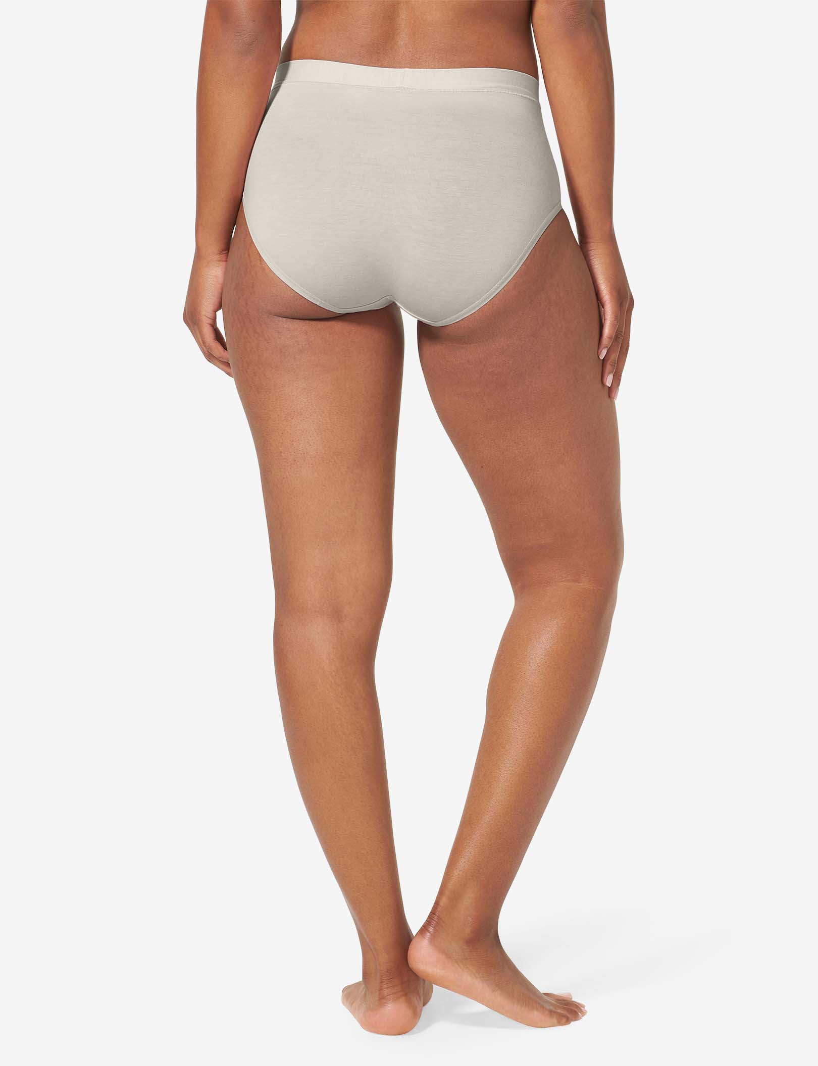 Women's Cool Cotton High Rise Brief::Silver Gray