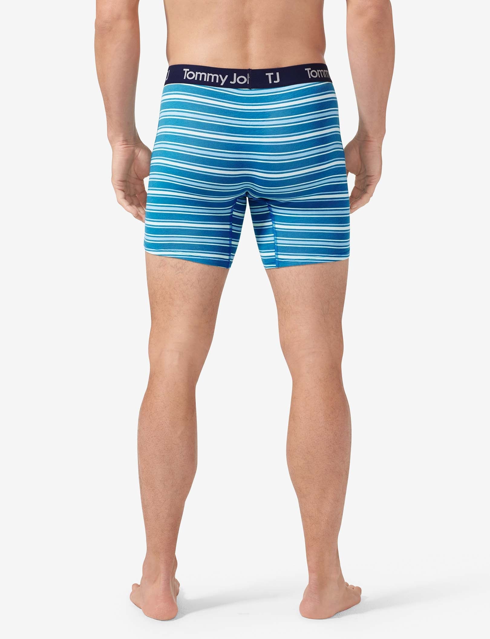 TJ Cotton Stretch Hammock Pouch™ Boxer Brief 6”::Forget-Me-Not Sidecar Stripe