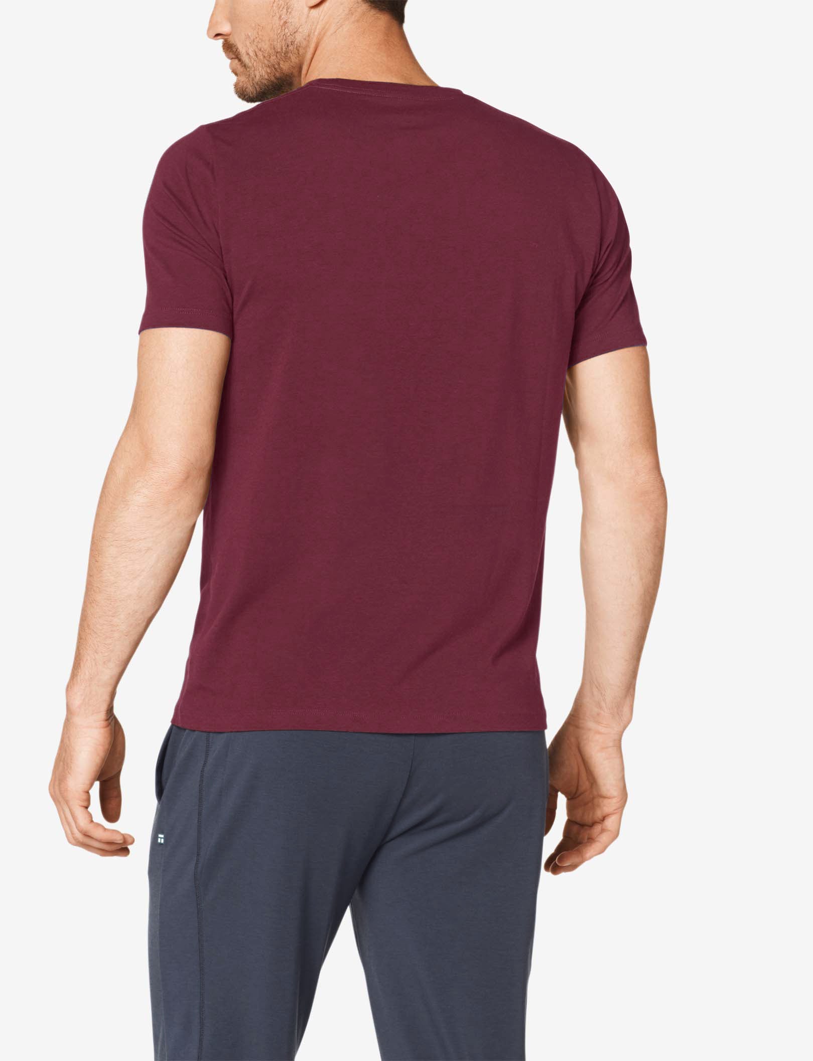 Second Skin Crew Neck Tee::Fig